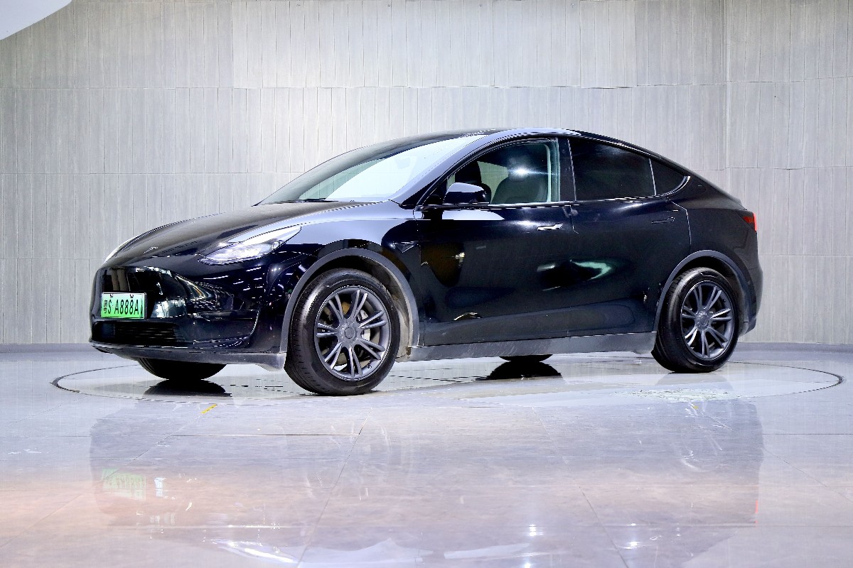 Tesla Model Y 2022 immagine di auto 