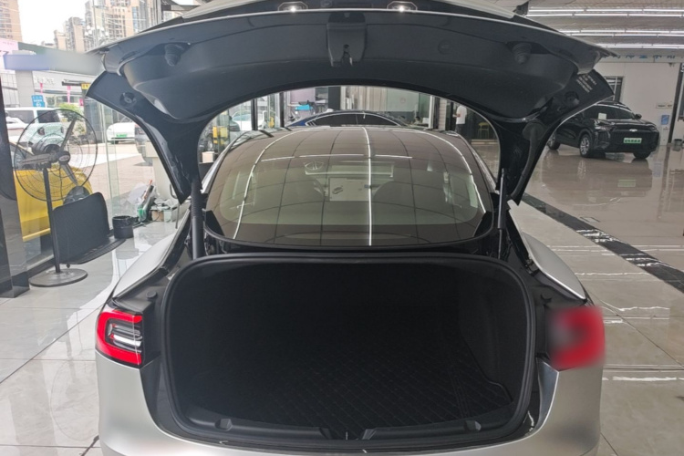 Tesla Model 3 2021 #19 Tesla Model 3 2021 car image #19