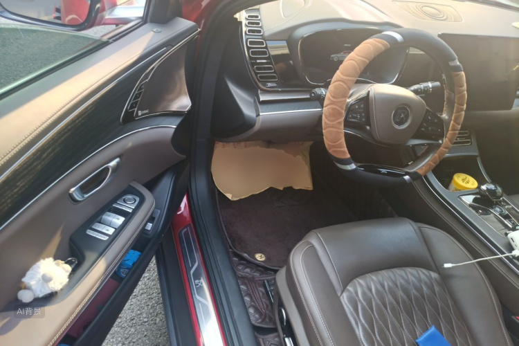 BYD Han 2021 car image #18