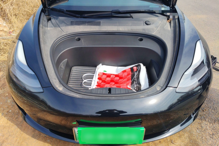 Tesla Model 3 2021 #22 Tesla Model 3 2021 car image #22