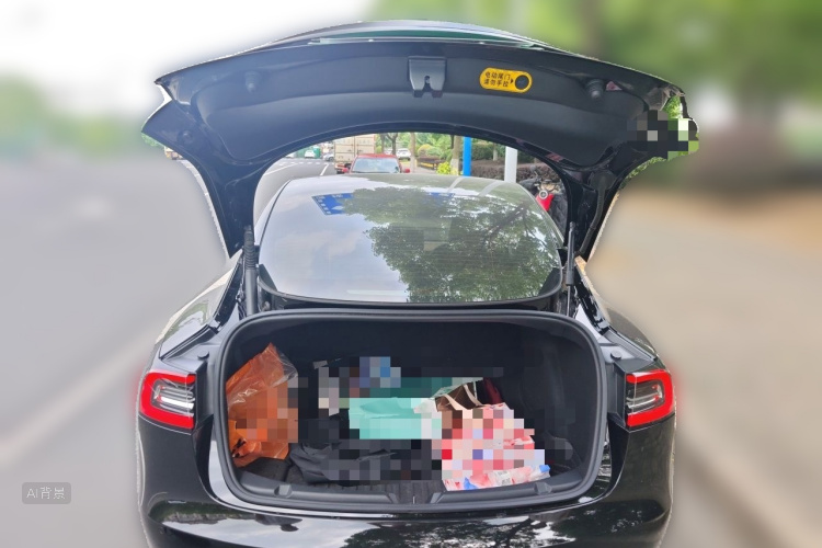 Tesla Model 3 2022 immagine di auto #21
