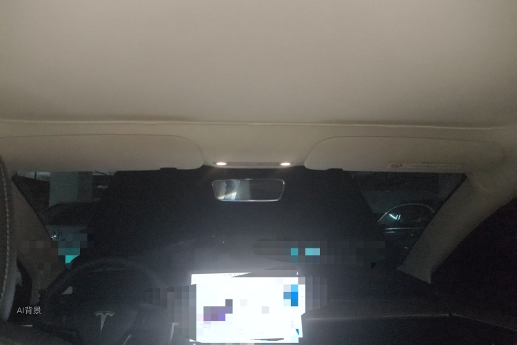 Tesla Model 3 2022 immagine di auto #20