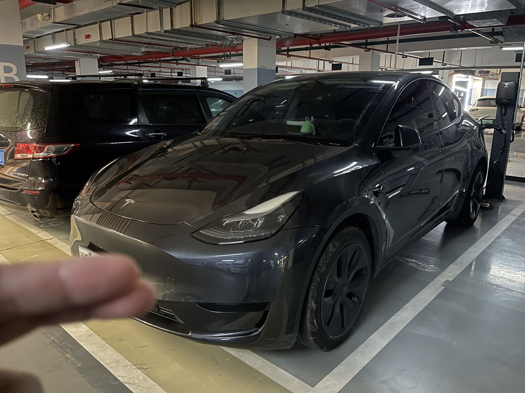 Tesla Model Y 2024 Tesla Model Y 2024 car image