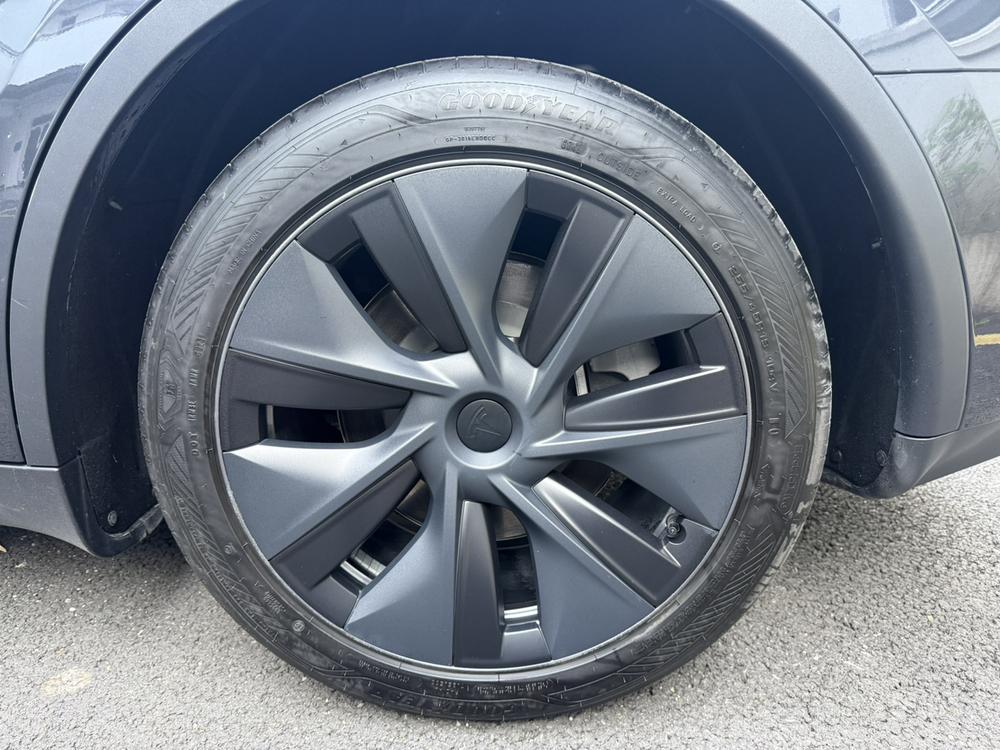 Tesla Model Y 2024 #8 Tesla Model Y 2024 car image #8