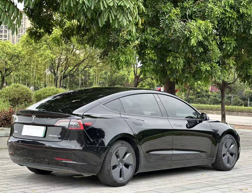 Tesla Model 3 2021 #11 Tesla Model 3 2021 car image #11