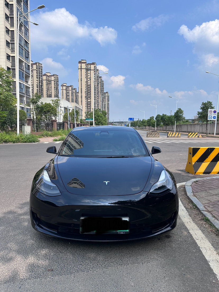 Tesla Model 3 2021 car image #2