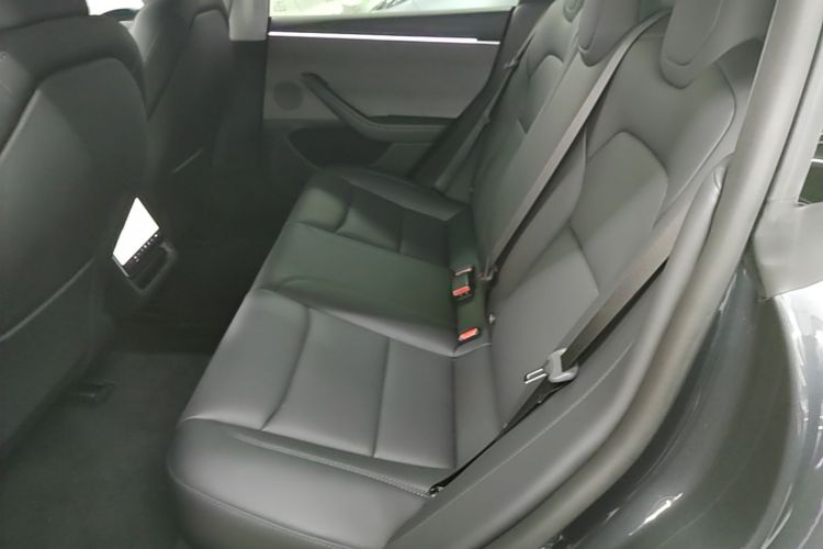 Tesla Model 3 2024 car image #17