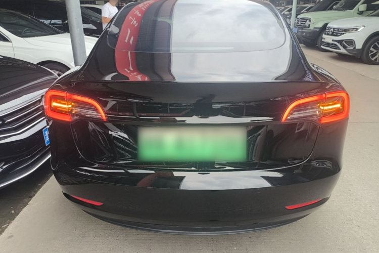 Tesla Model 3 2021 #6 Tesla Model 3 2021 car image #6