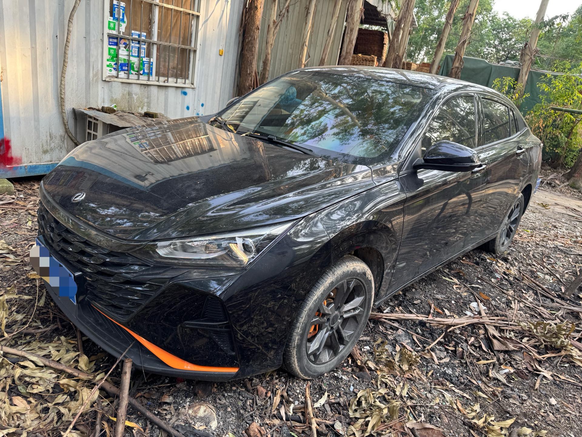 2023 2023 car image