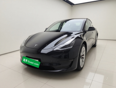 Tesla Model 3 2023 Tesla Model 3 2023 car image