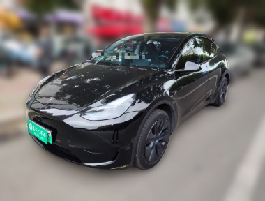 Tesla Model Y 2023 Tesla Model Y 2023 car image