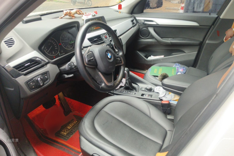 BMW X1 2017 car image #17