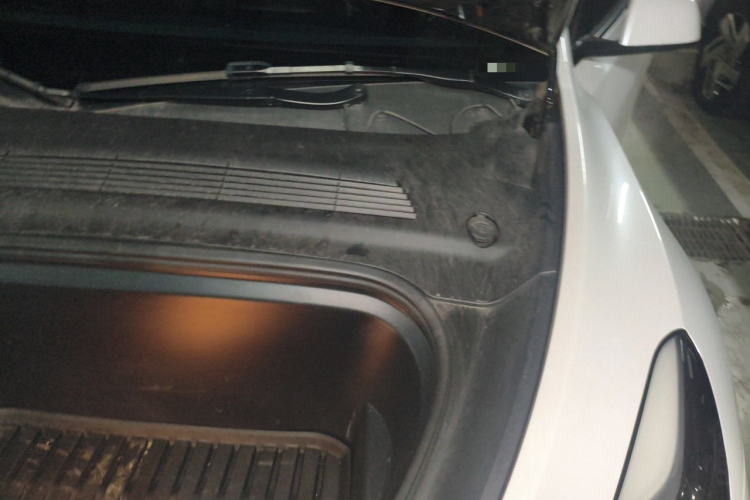 Tesla Model Y 2023 #23 Tesla Model Y 2023 car image #23