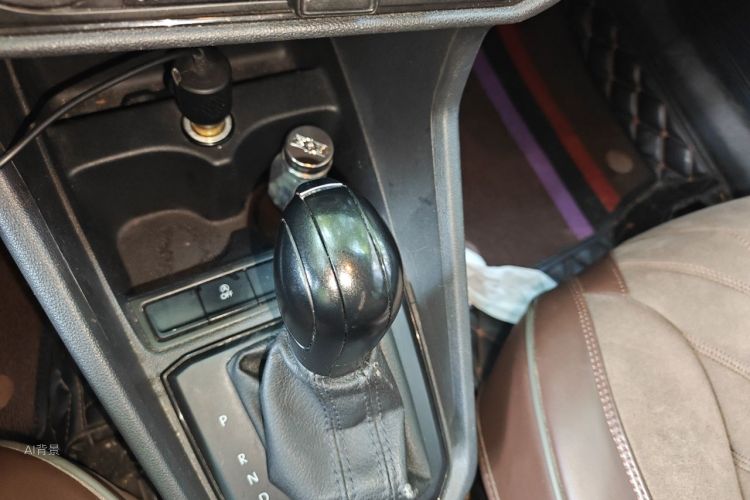 Volkswagen Santana 2019 car image #16