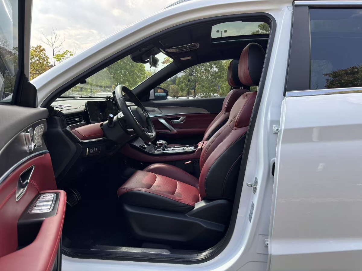 Jetour X70 PLUS 2021 car image #4