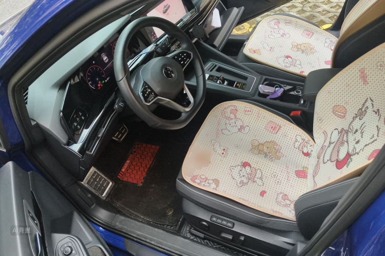 Volkswagen Golf 2021 car image #18