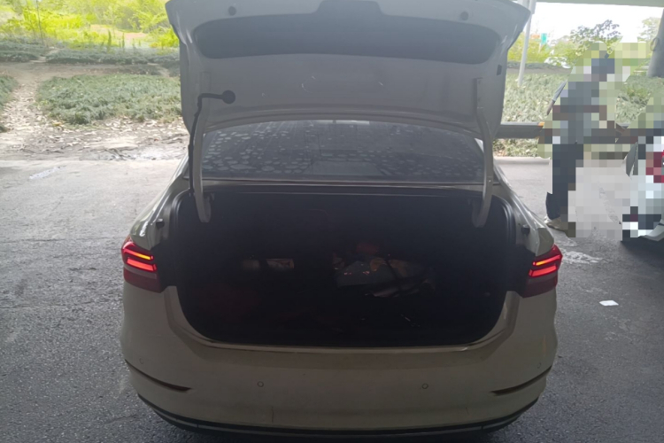 Volkswagen Lavida Pure Electric 2019 #19 Volkswagen Lavida Pure Electric 2019 immagine di auto #19