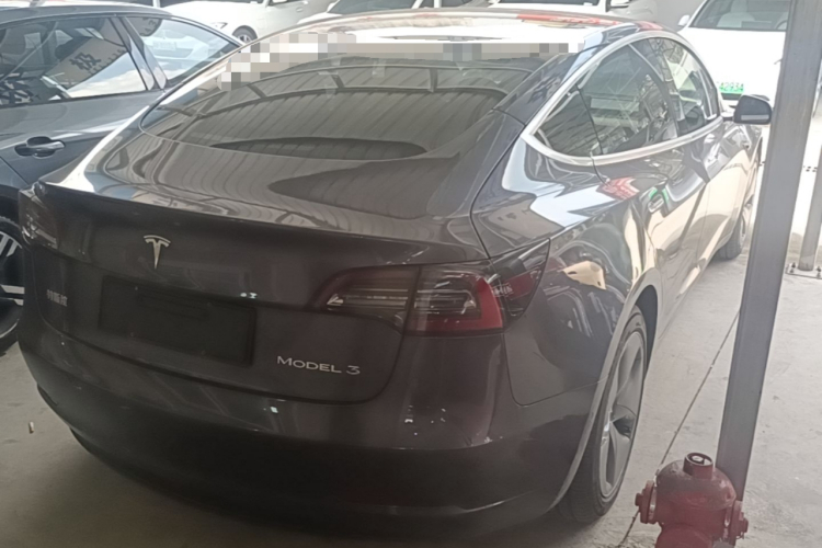 Tesla Model 3 2020 #7 Tesla Model 3 2020 car image #7