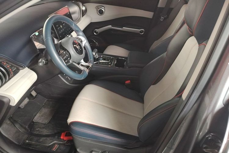 BYD Yuan Plus 2023 car image #19
