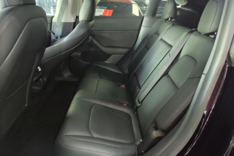 Tesla Model Y 2021 car image #13