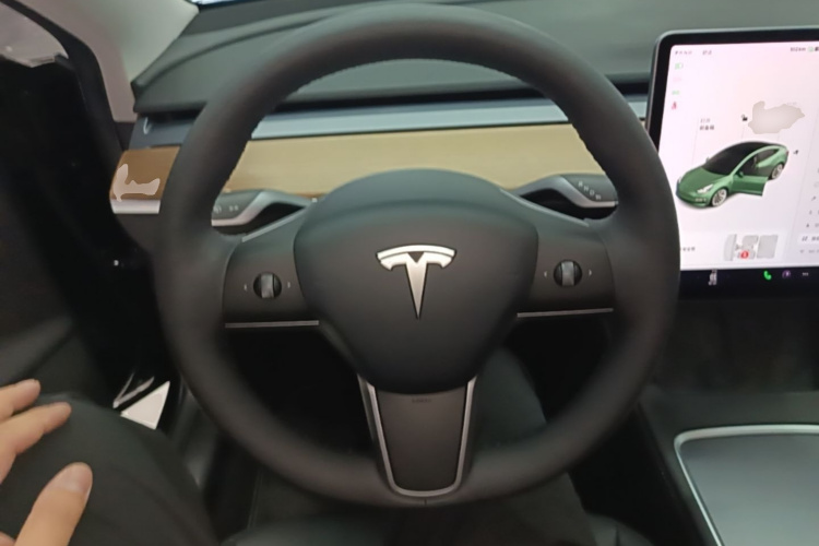 Tesla Model 3 2021 car image #15