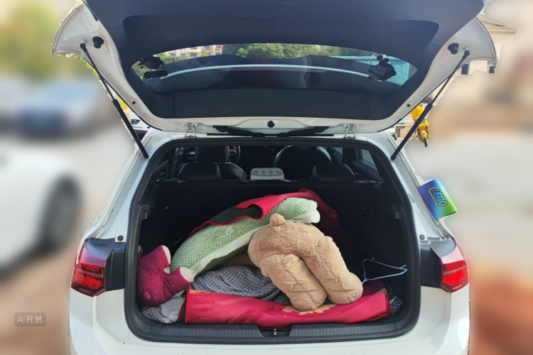 Volkswagen Golf 2022 car image #21