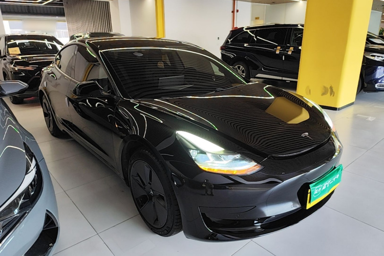 Tesla Model 3 2021 #4 Tesla Model 3 2021 immagine di auto #4
