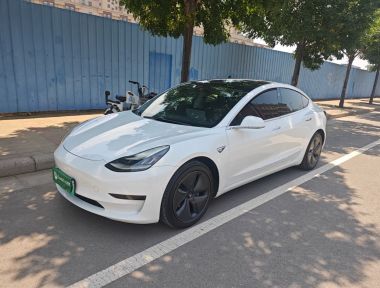 Tesla Model 3 2020 Tesla Model 3 2020 car image