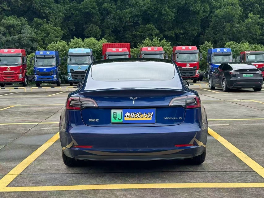 Tesla Model 3 2020 #5 Tesla Model 3 2020 car image #5