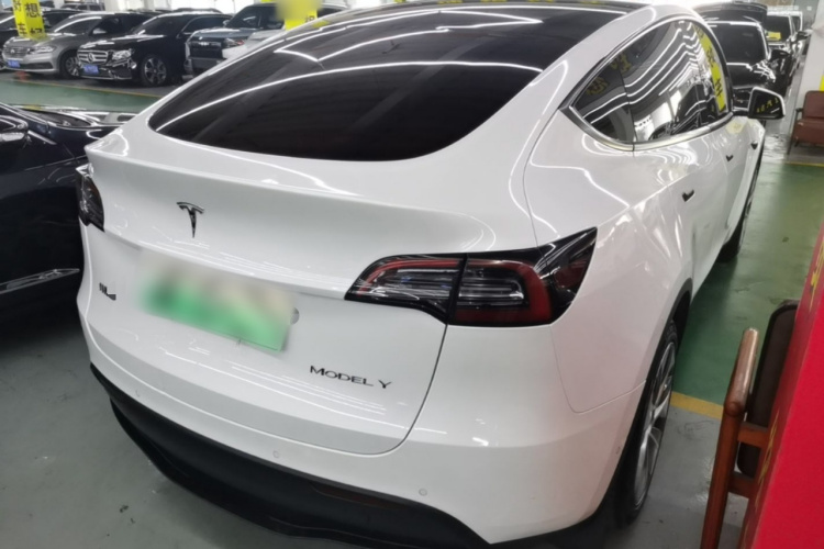 Tesla Model Y 2023 #7 Tesla Model Y 2023 car image #7