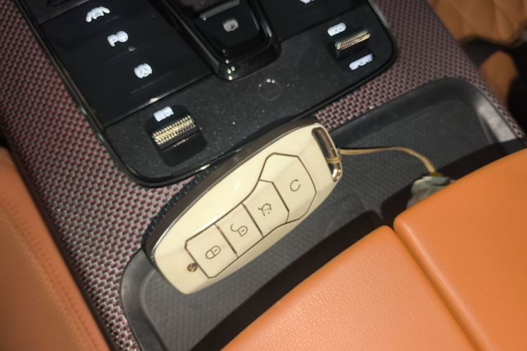 BYD Han 2022 #9 BYD Han 2022 immagine di auto #9