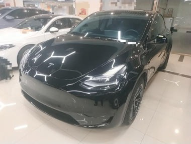 Tesla Model Y 2023 Tesla Model Y 2023 car image