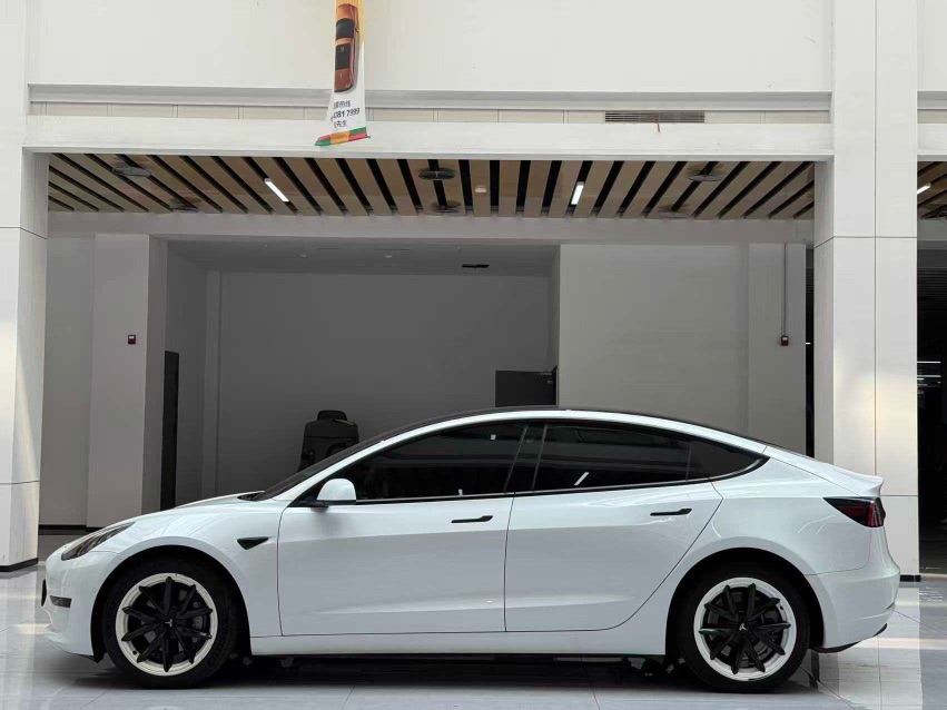 Tesla Model 3 2022 car image #8
