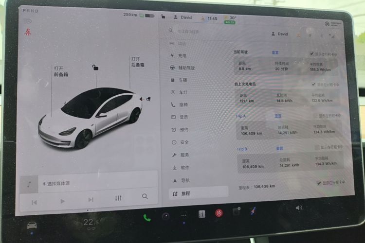 Tesla Model 3 2020 car image #12