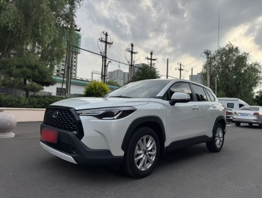 Toyota Corolla Cross 2024 car image 