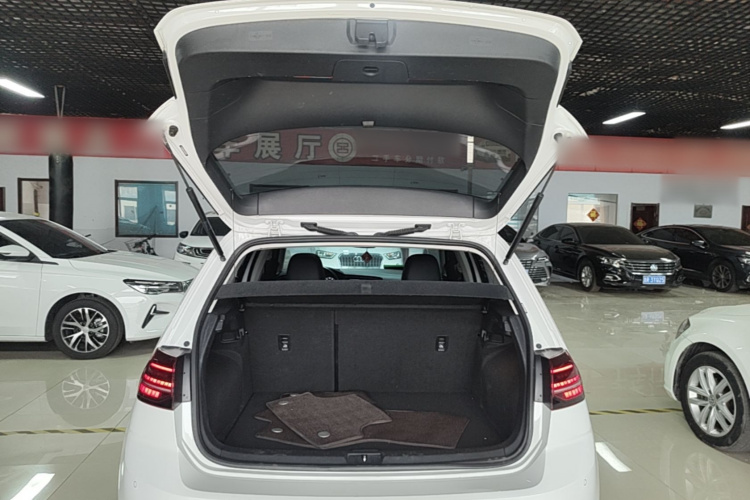 Volkswagen Golf 2020 car image #21