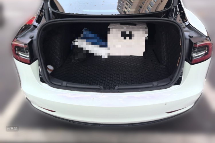 Tesla Model 3 2023 #21 Tesla Model 3 2023 immagine di auto #21