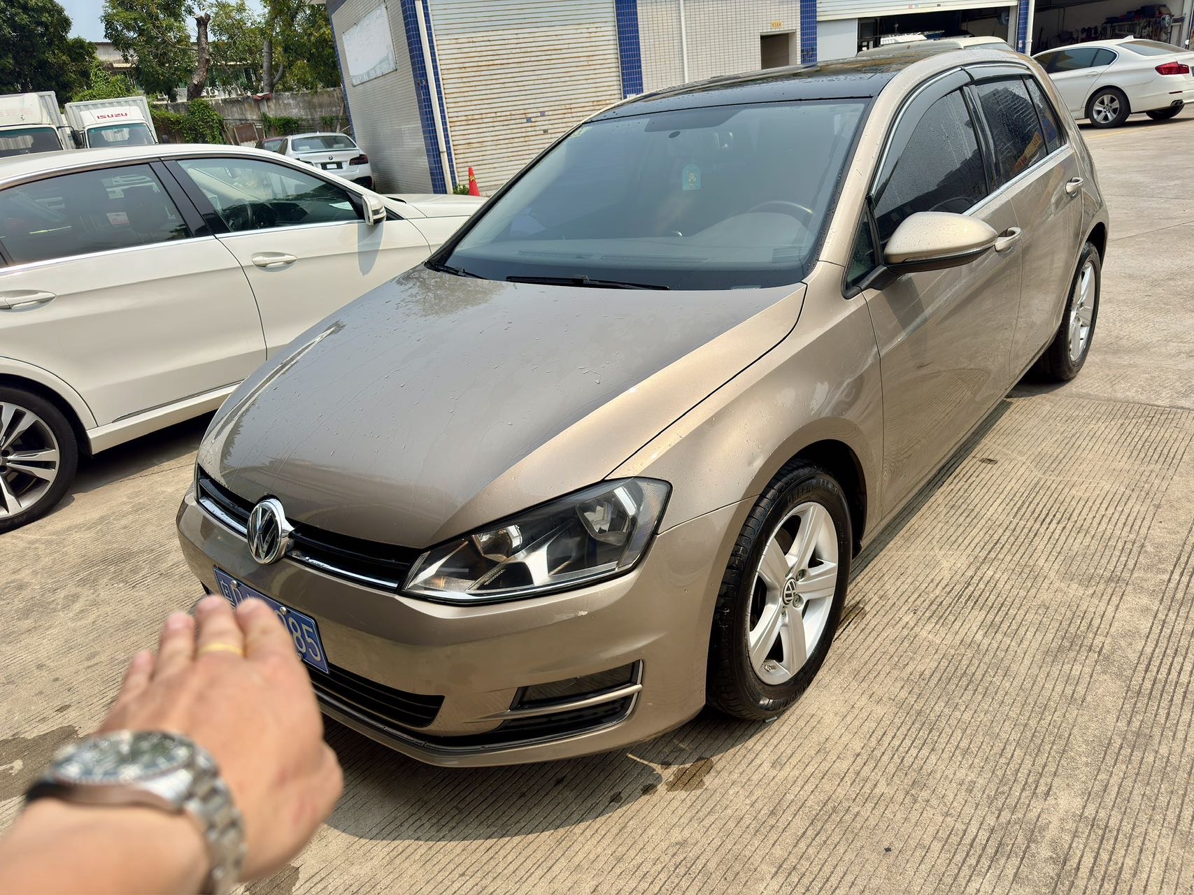 Volkswagen Golf 2014 汽车图片 