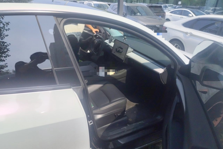 Tesla Model Y 2023 #23 Tesla Model Y 2023 car image #23