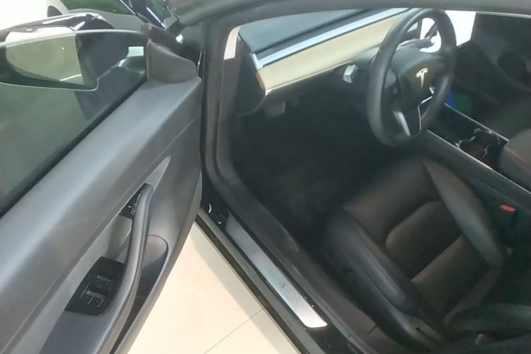 Tesla Model 3 2020 car image #16