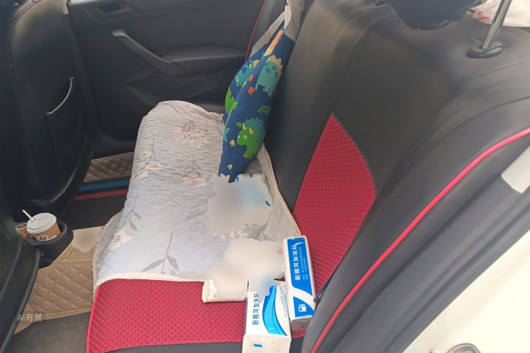 Volkswagen Santana 2022 car image #19