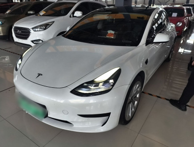 Tesla Model 3 2021 Tesla Model 3 2021 car image