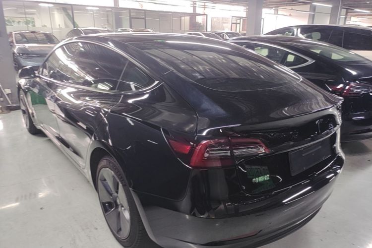 Tesla Model 3 2021 #5 Tesla Model 3 2021 car image #5