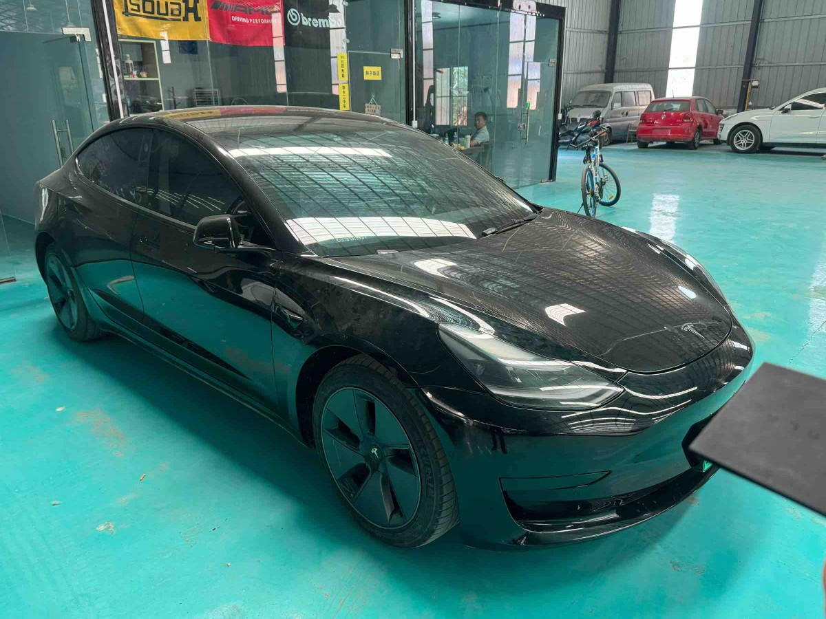 Tesla Model 3 2021 #3 Tesla Model 3 2021 car image #3