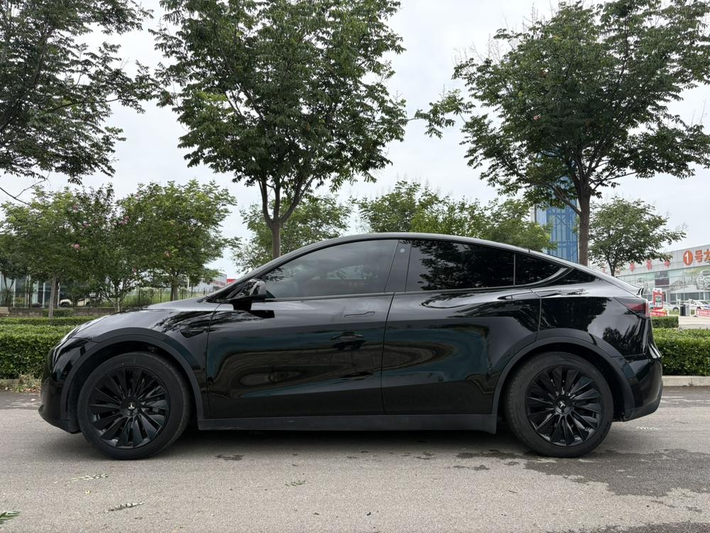Tesla Model Y 2024 car image #4