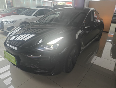 Tesla Model 3 2022 immagine di auto 