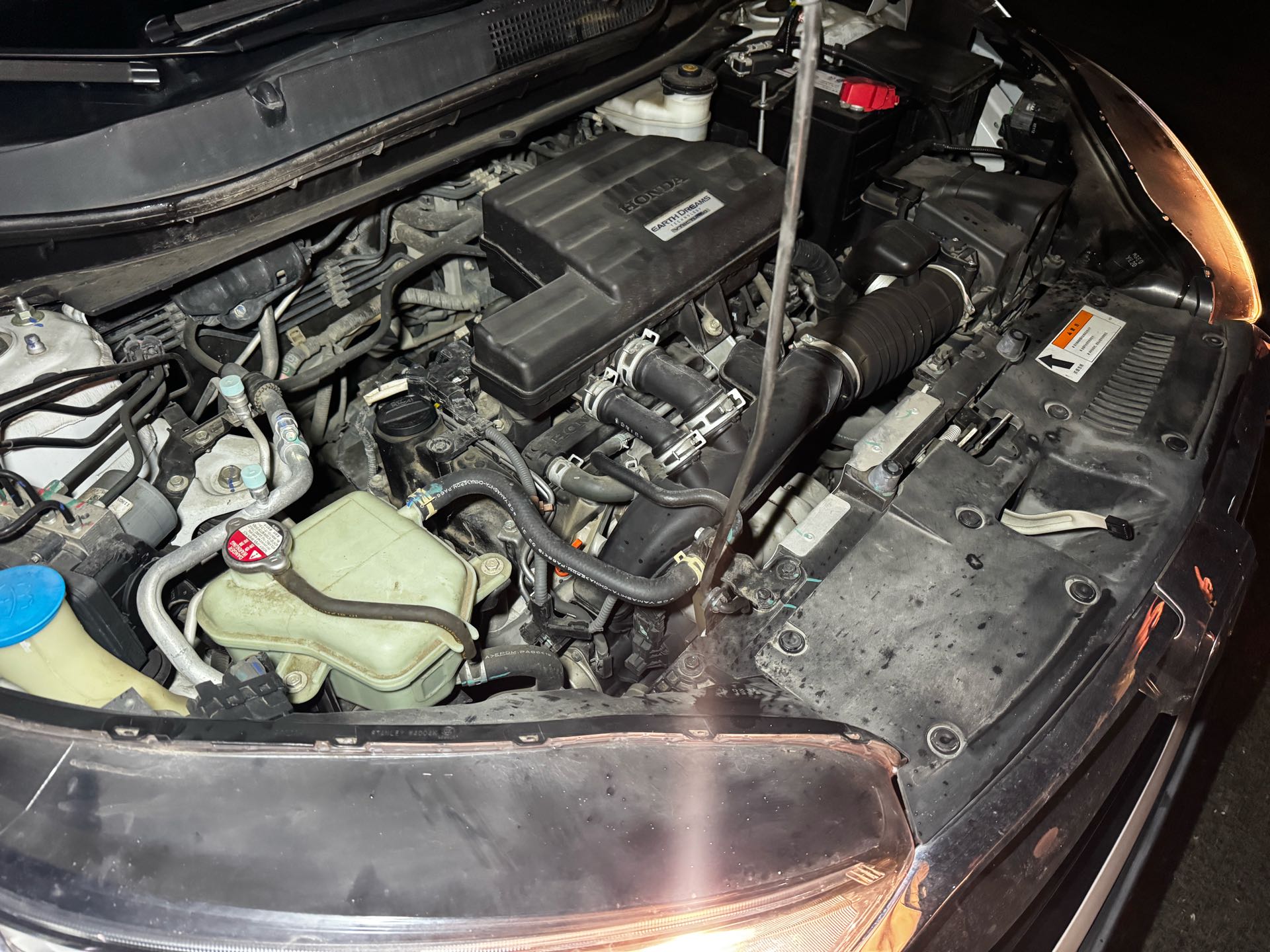 2019 #12 2019 car image #12