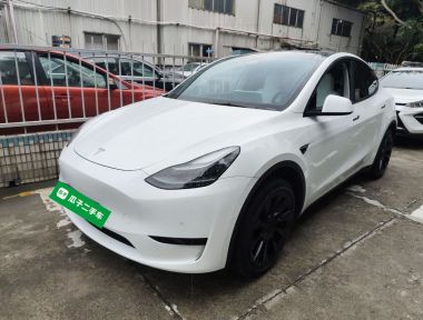 Tesla Model Y 2023 Tesla Model Y 2023 car image