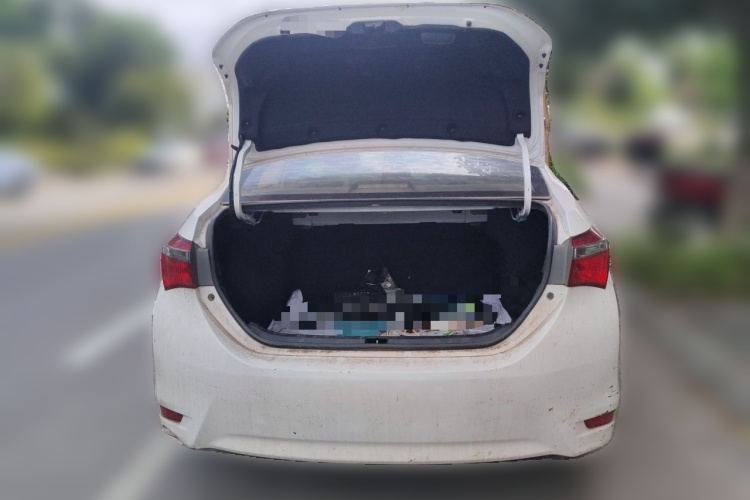 Toyota Corolla 2018 car image #20