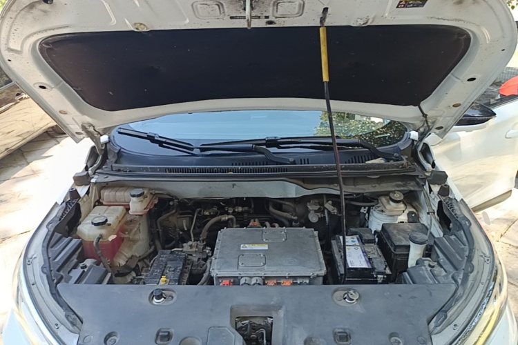 BYD Yuan New Energy 2019 car image #20